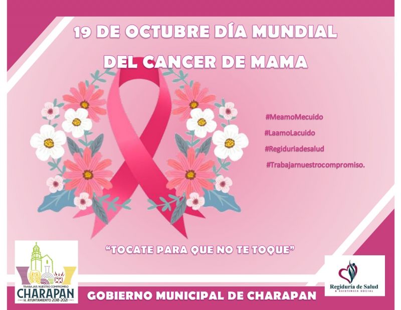 "19 de octubre día Internacional de la lucha contra el cáncer de mama"