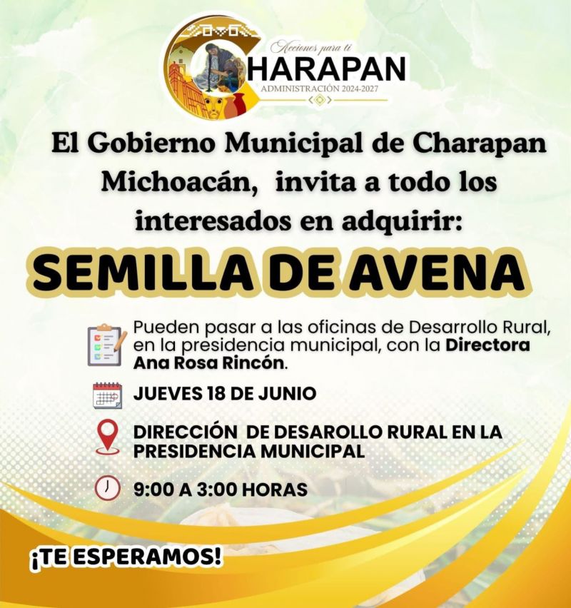 ¡Atención, productores de avena!